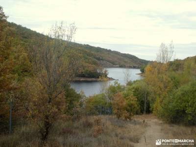 Hayedo La Pedrosa,mar de Robles; romanico burgos parque natural peneda geres setas madrid monte de e